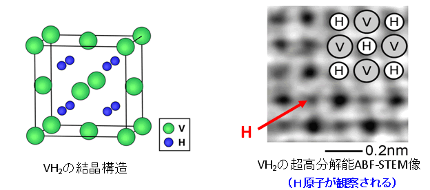 VH2�η뾽��¤��VH2��Ķ��ʬ��ǽABF-STEM��