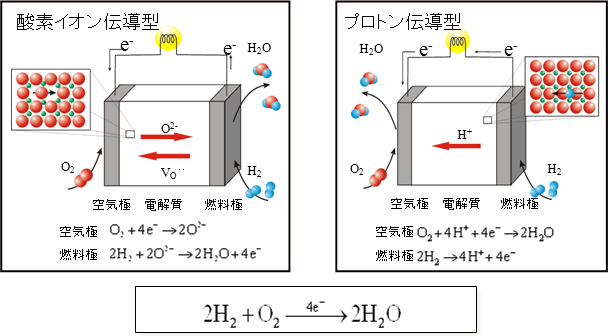 固体酸