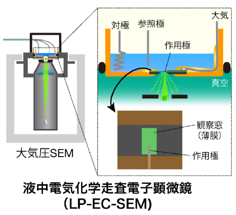 液中電気化学走査電子顕微鏡（LP-EC-SEM）