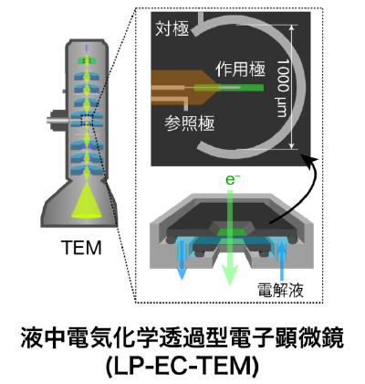 液中電気化学透過型電子顕微鏡（LP-EC-TEM）