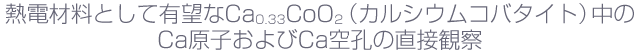 ǮźȤͭ˾Ca0.33CoO2ʥ륷ॳХȡCaҤCaľܴѻ