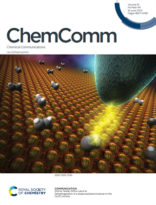 ChemComm61 vol.61